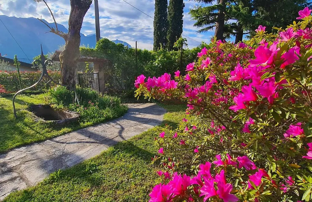 Appartamenti Casa La Rosa-1