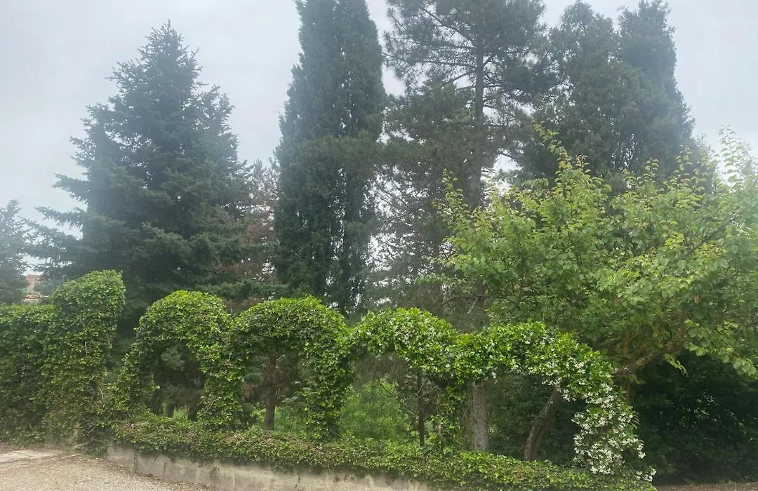 Villa Zara-1