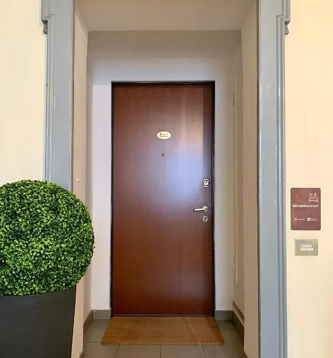 B&B Volta-1