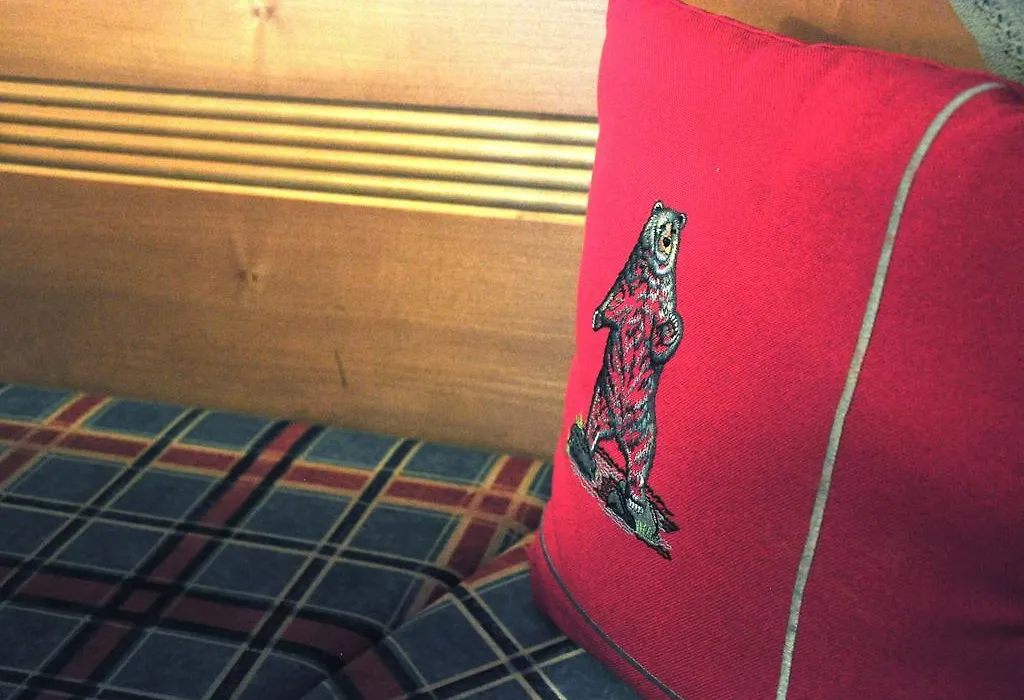 Hotel Grauer Bär-1