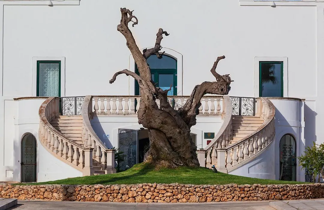 Masseria Relais Del Cardinale-1