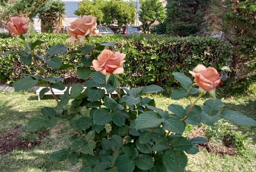 Villa Silvia b&b-1