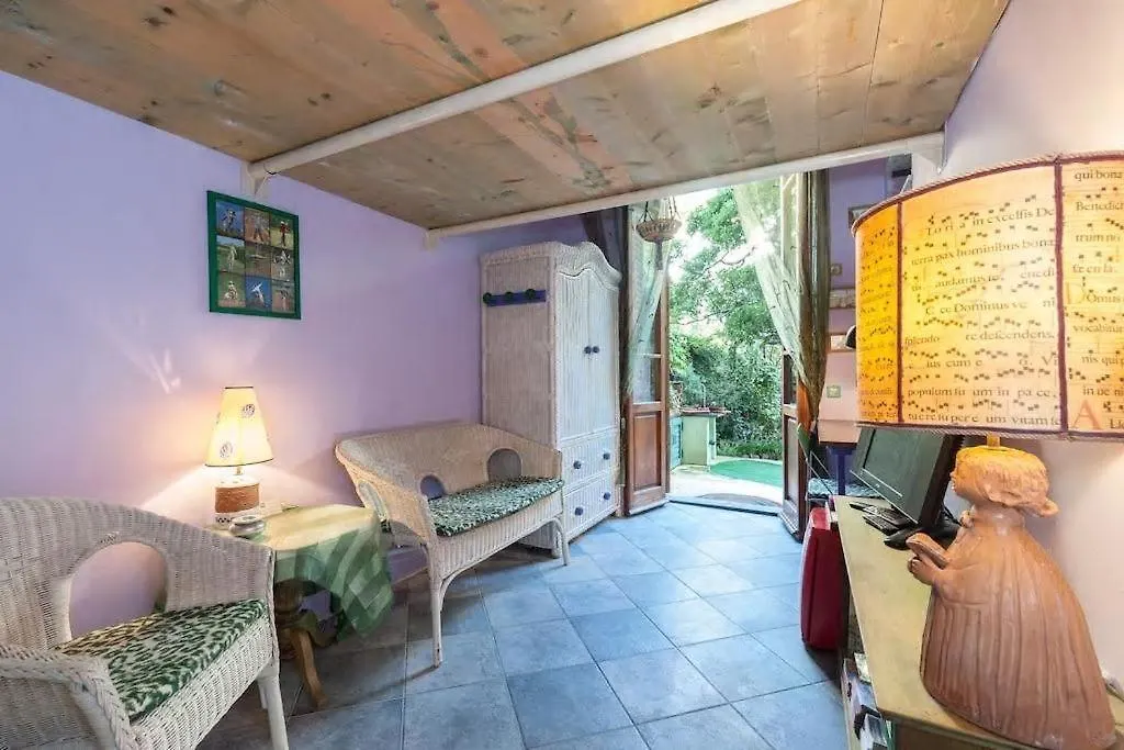 B&B Gautama-1