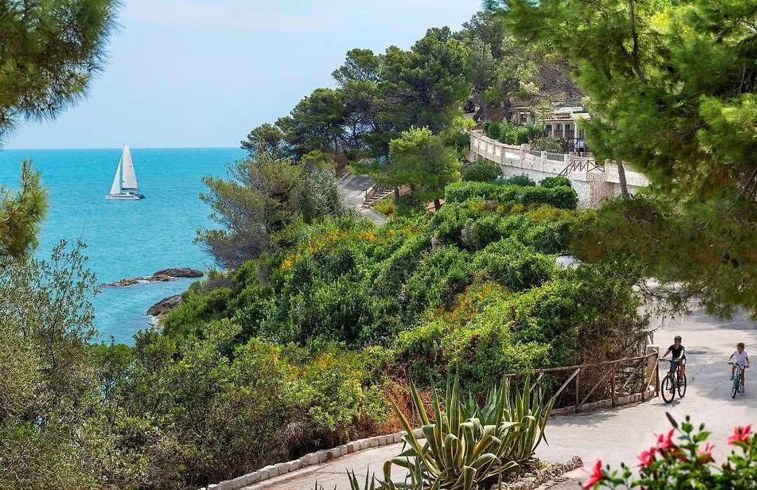 Gattarella Family Resort Puglia - Self Catering Accommodations In The Pinewood-1