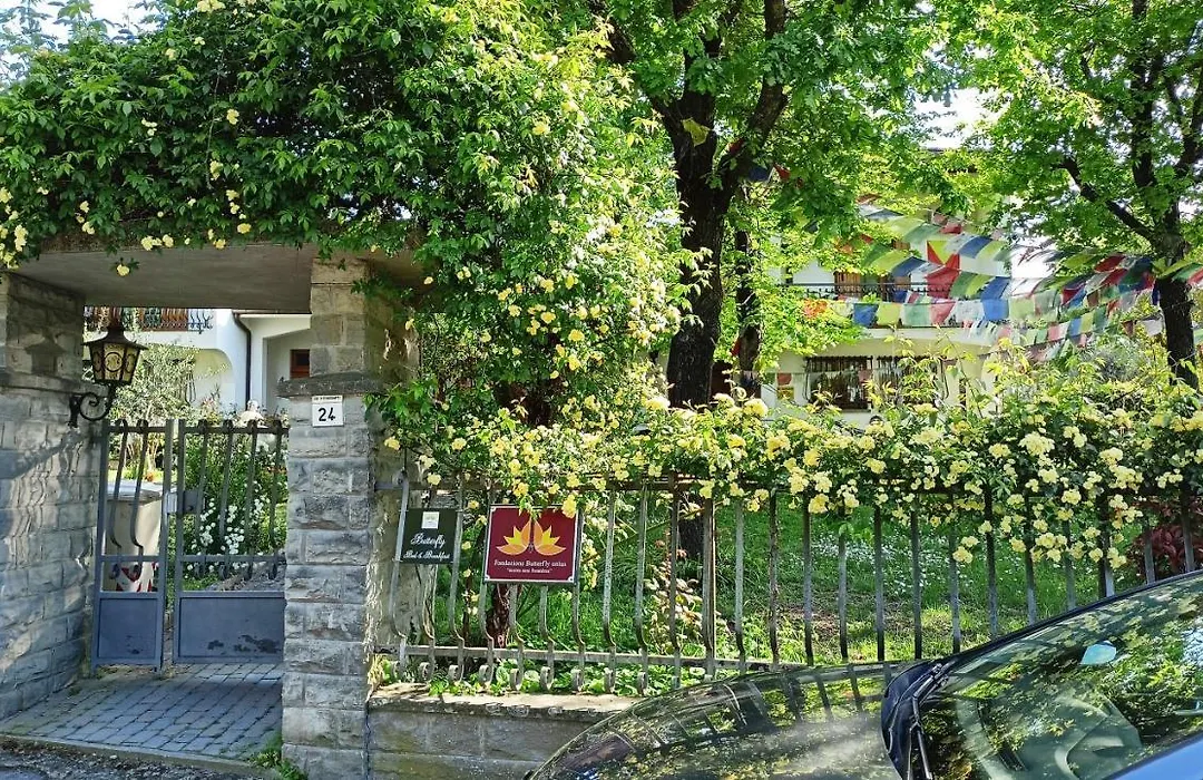 Butterfly B&B-1