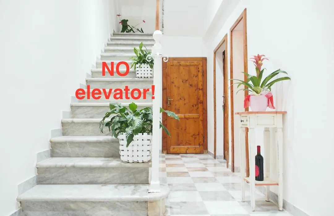 Eco Pisa Tower Guesthouse-1