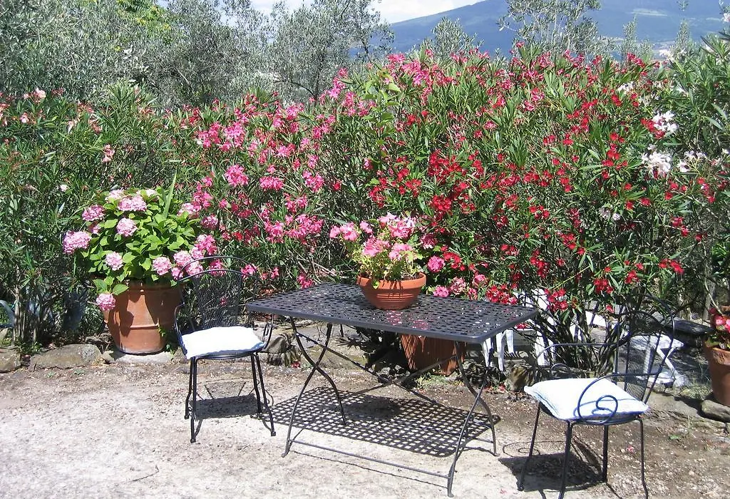 Fiesole In Giardino B&B-1
