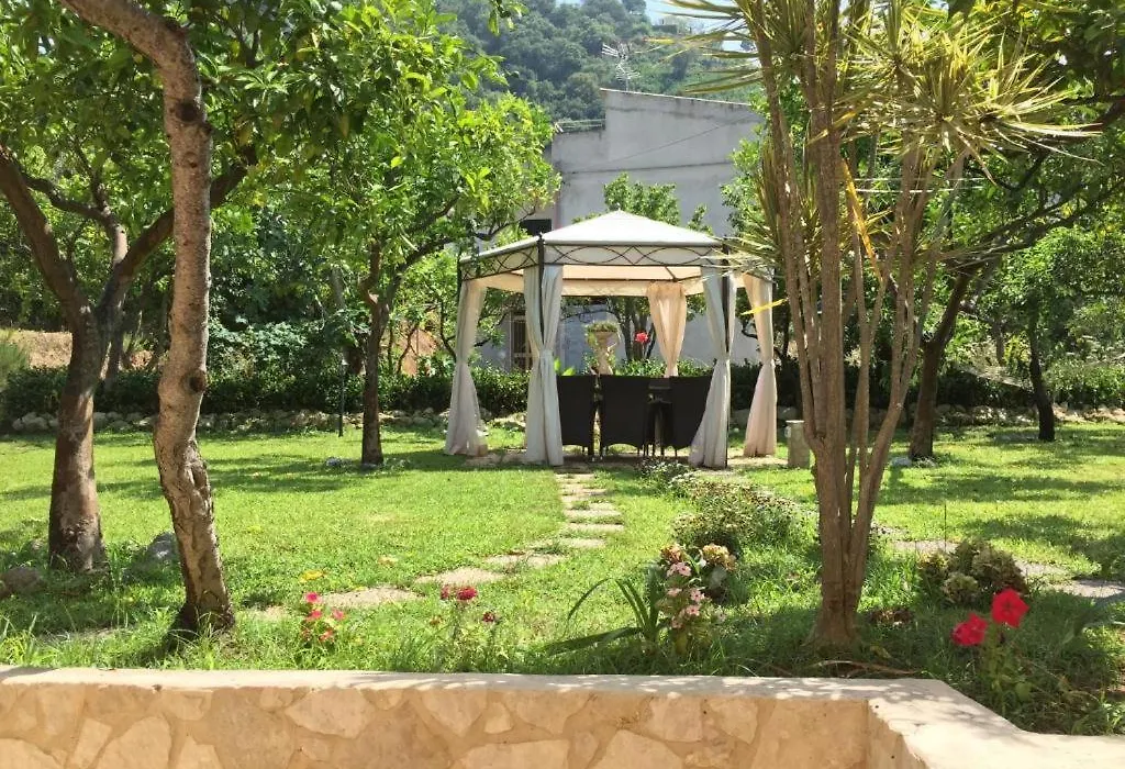Aurantia - Mediterranean Tale-1