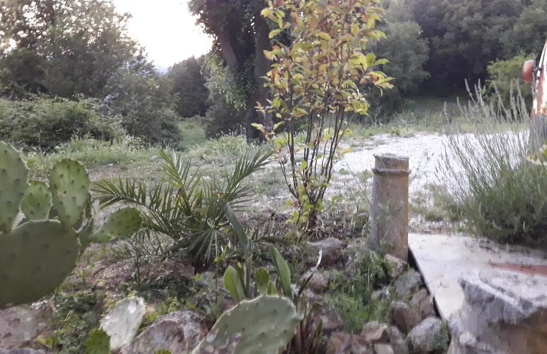 Il Nido Del Cuculo-1