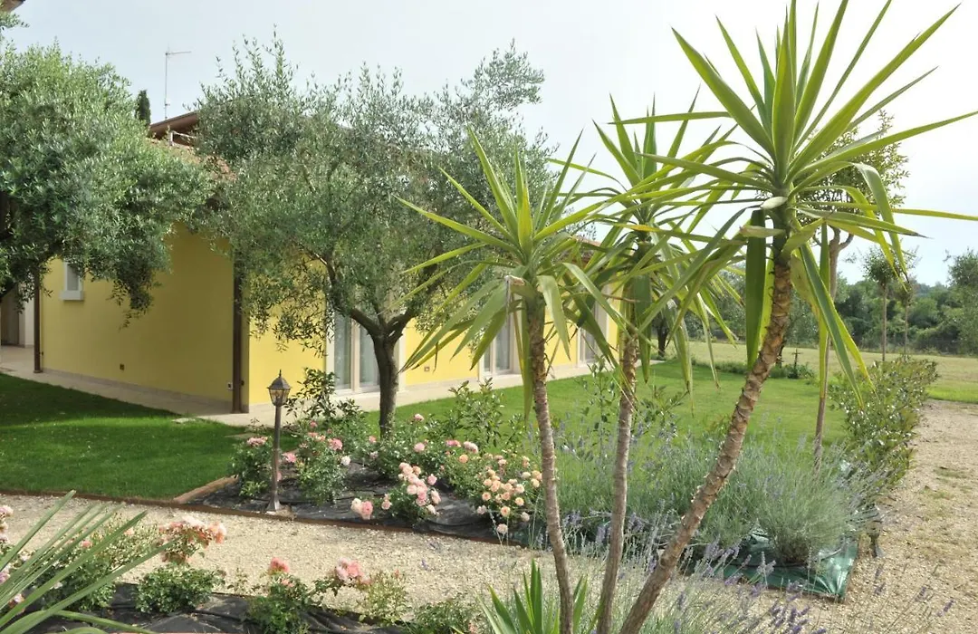 Paradiso degli Ulivi B&B-1