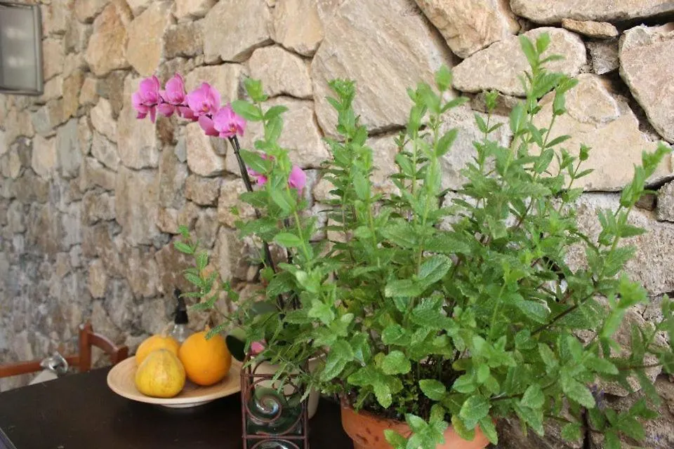 B&B Casale Coreallo Spotorno-1