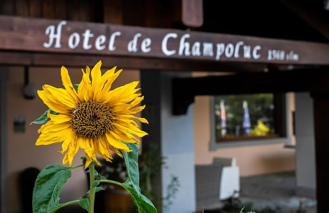 Hotel De Champoluc-1