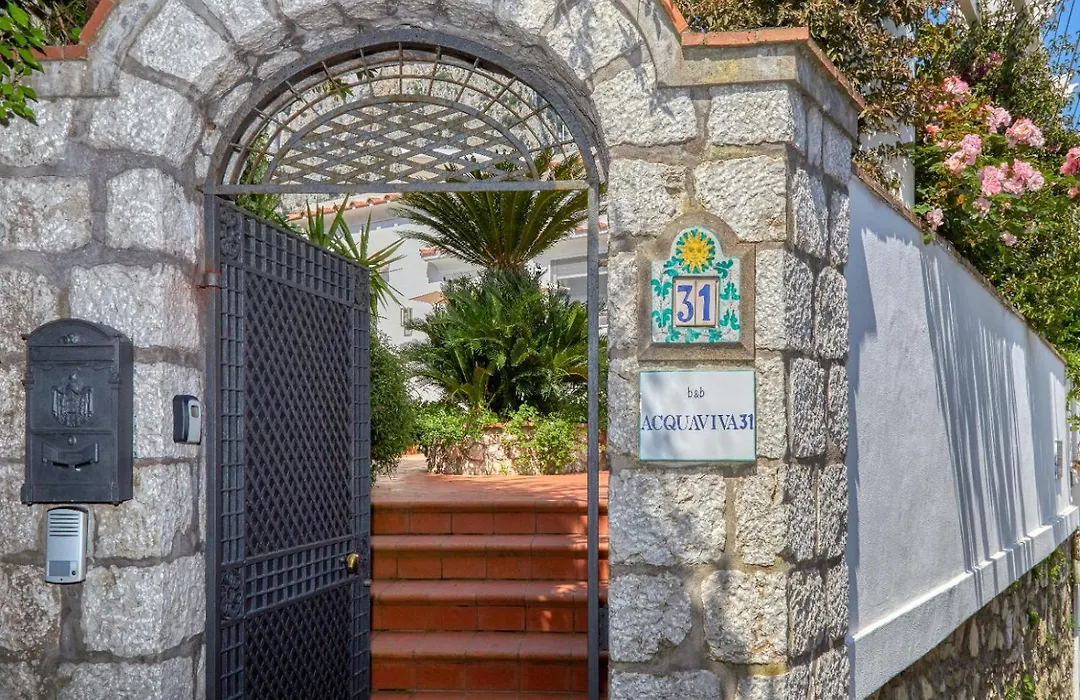 Acquaviva 31-1