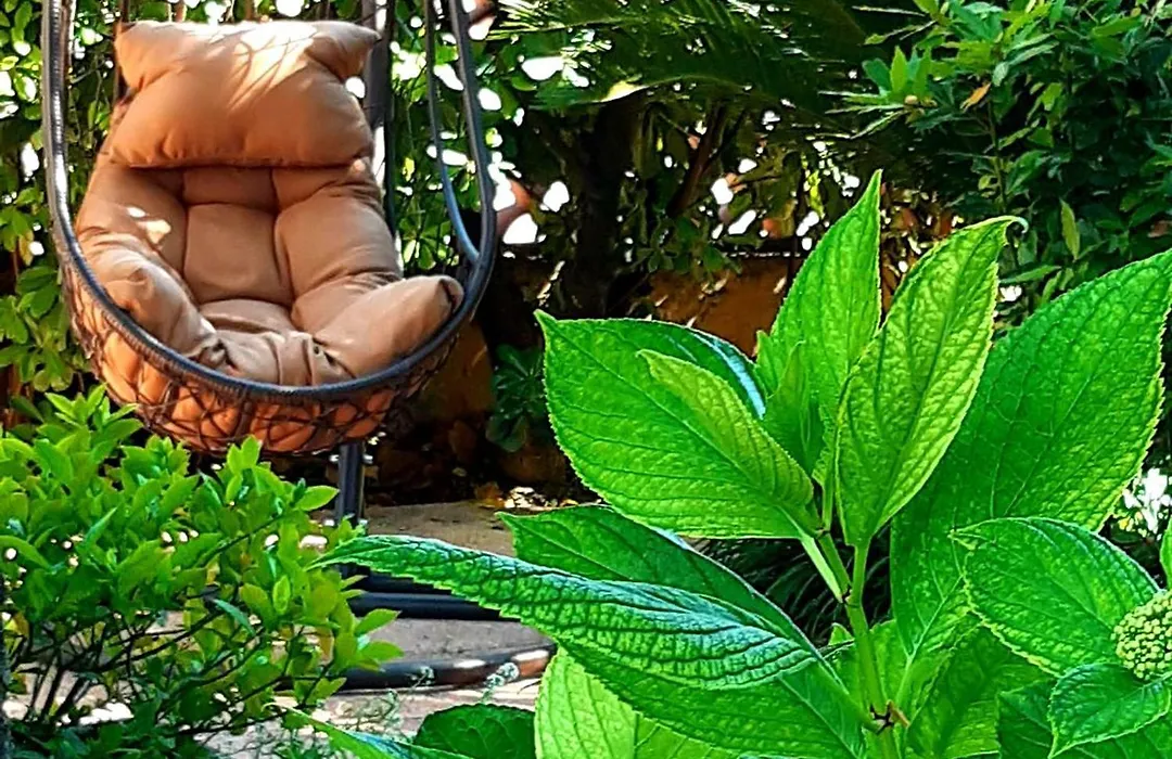 Hotel Giardino-1