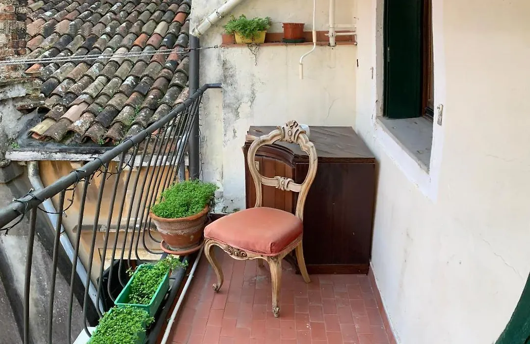 Eagle'S Nest Venice Guest House-1