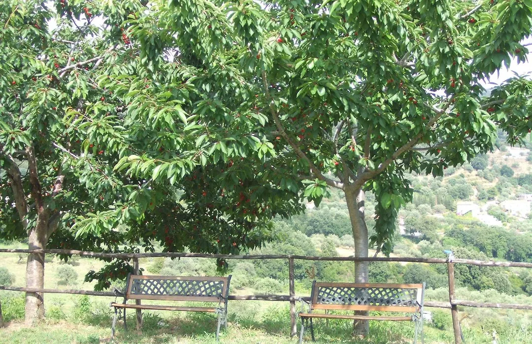 Villa Le Torrette-1