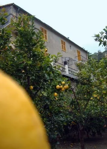 La Casa Dei Limoni-1