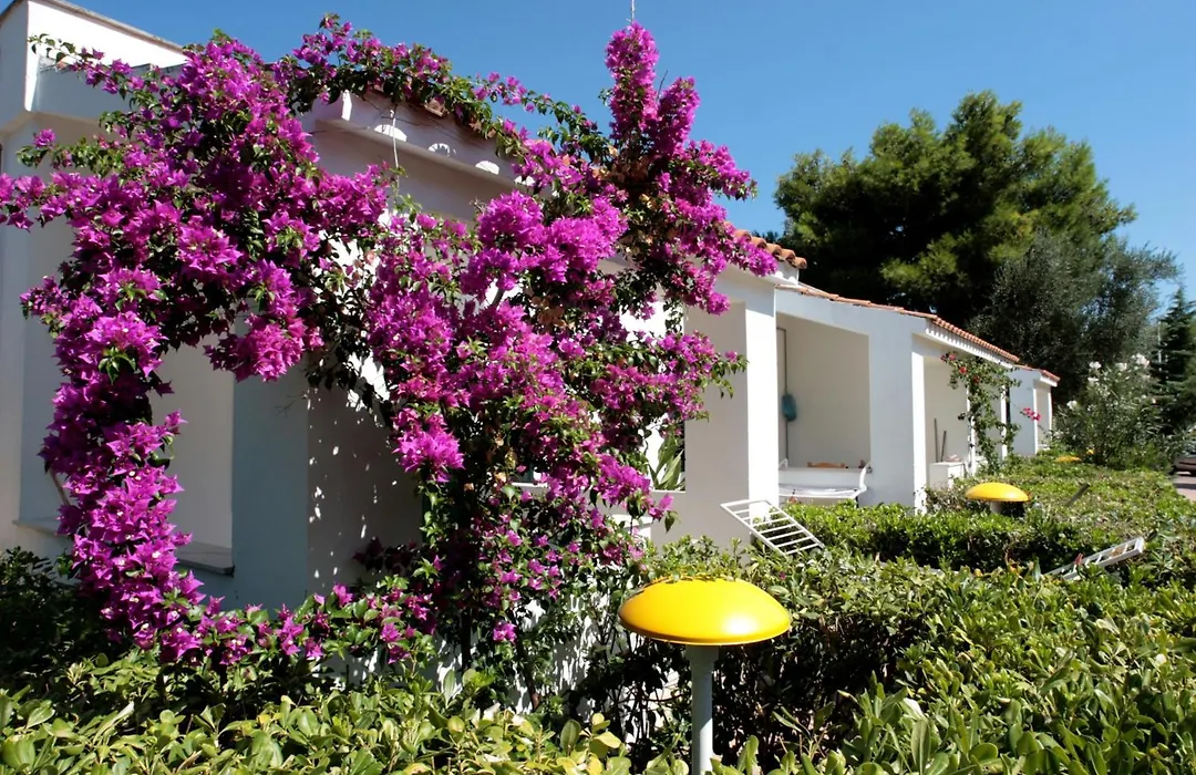Villaggio Turistico Residence Delfino-1