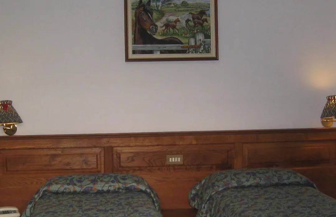 Hotel Villa Plinia-1