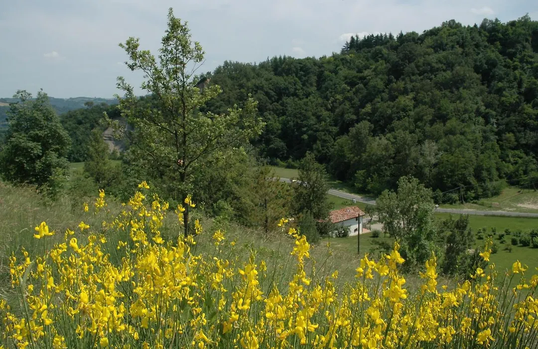 Agriturismo Rio Verde-1