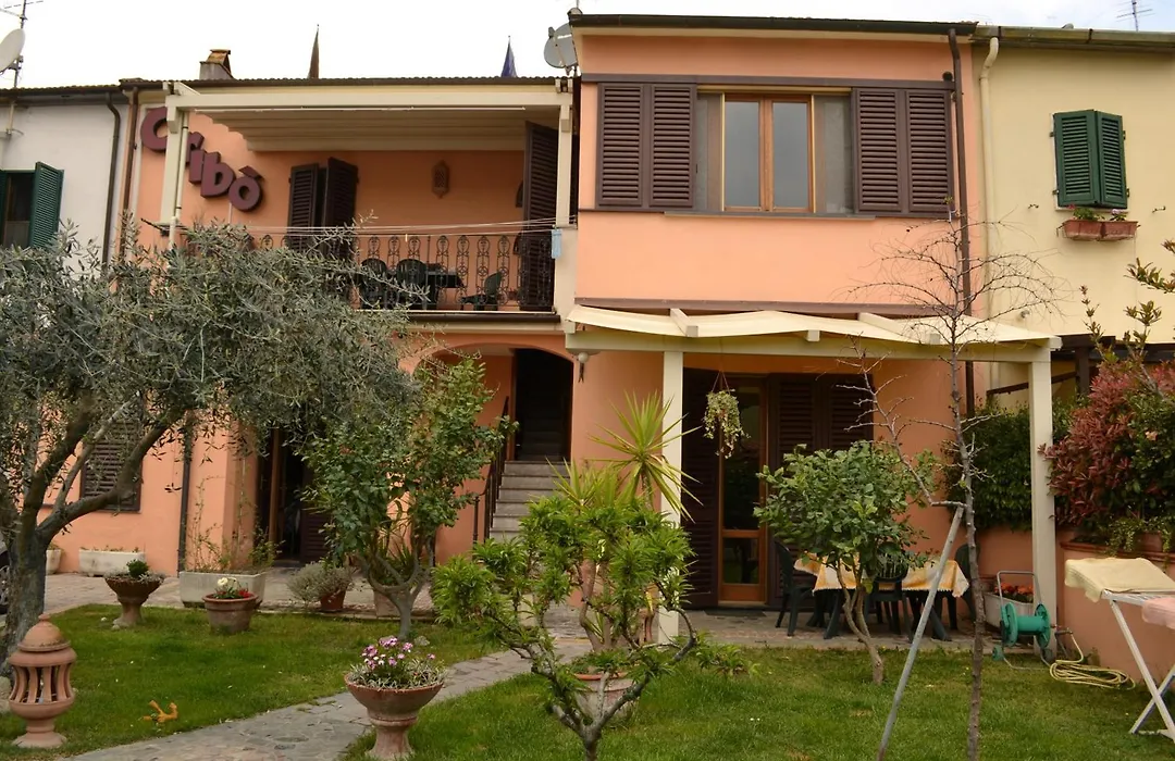 B&B Cribo-1