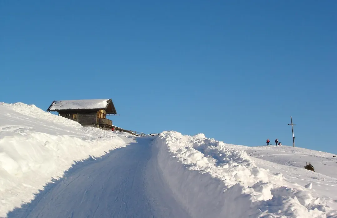 Dolomitenblick Alps Boutique Hotel-1