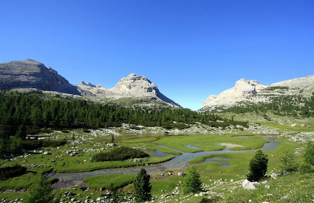 Pension Arnica B&B-1