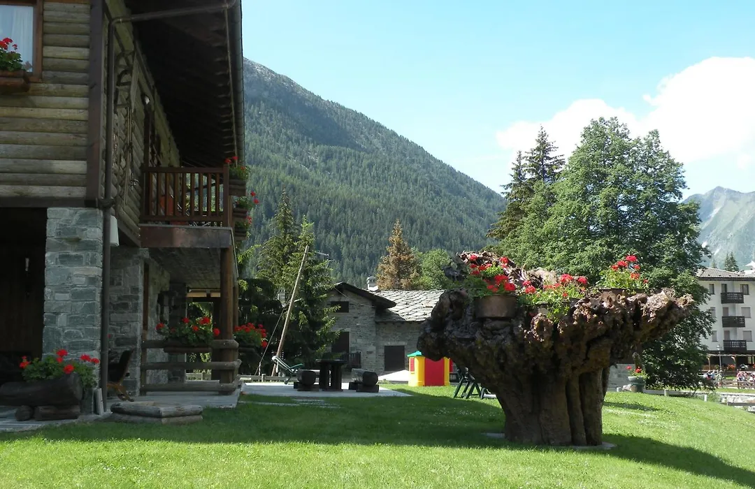 Hotel Bellevue-1