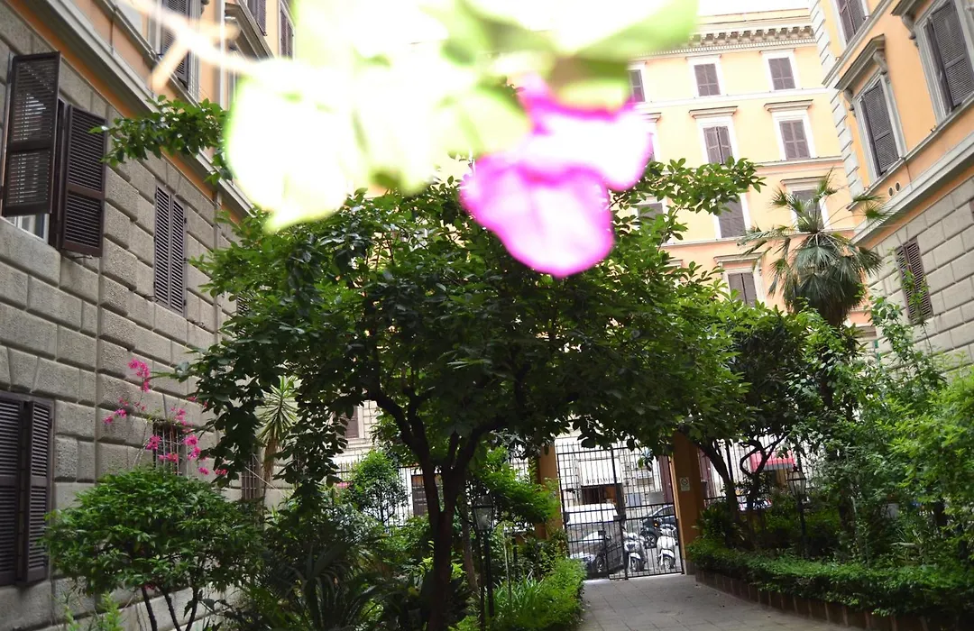 Bye Rome Guesthouse-1