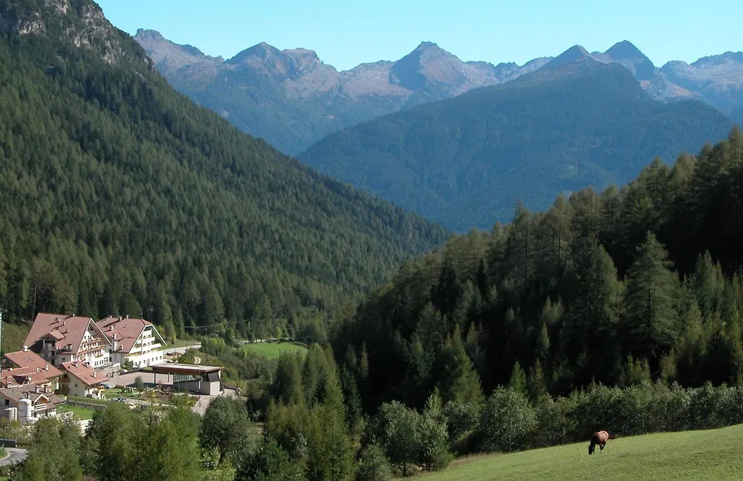 Hotel Erica-1