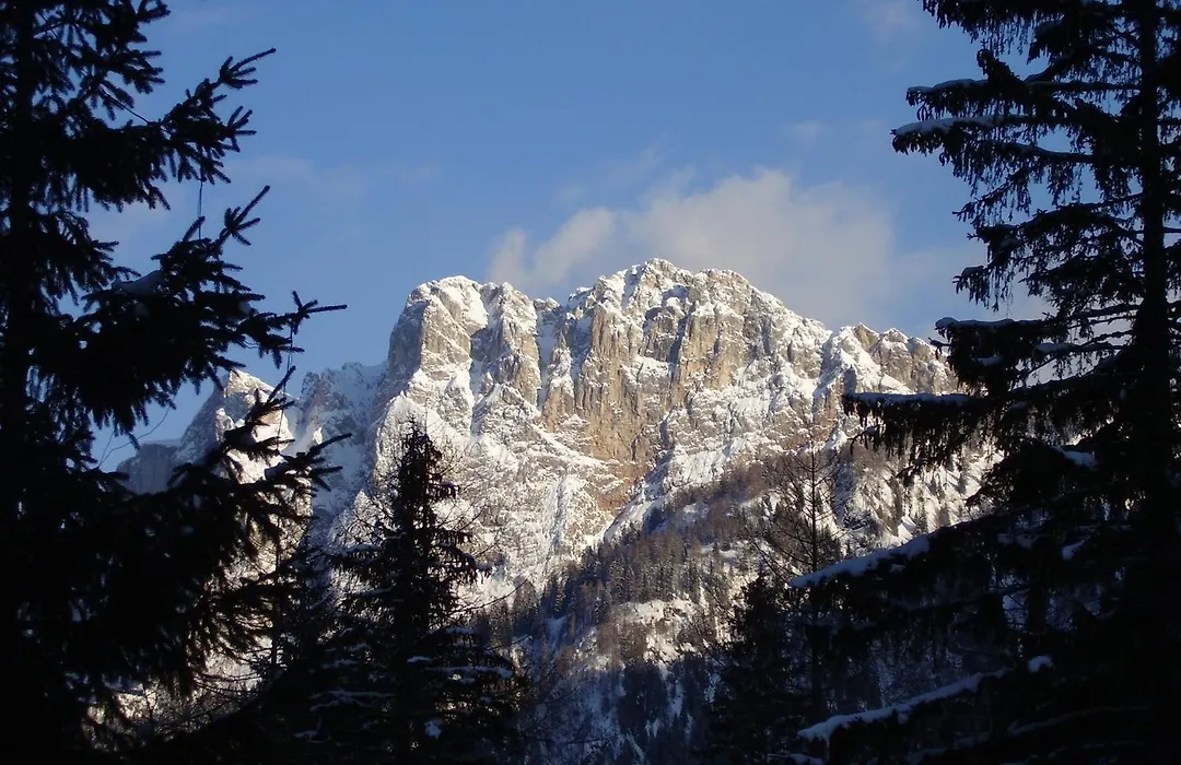 Residence Regina Delle Dolomiti-1