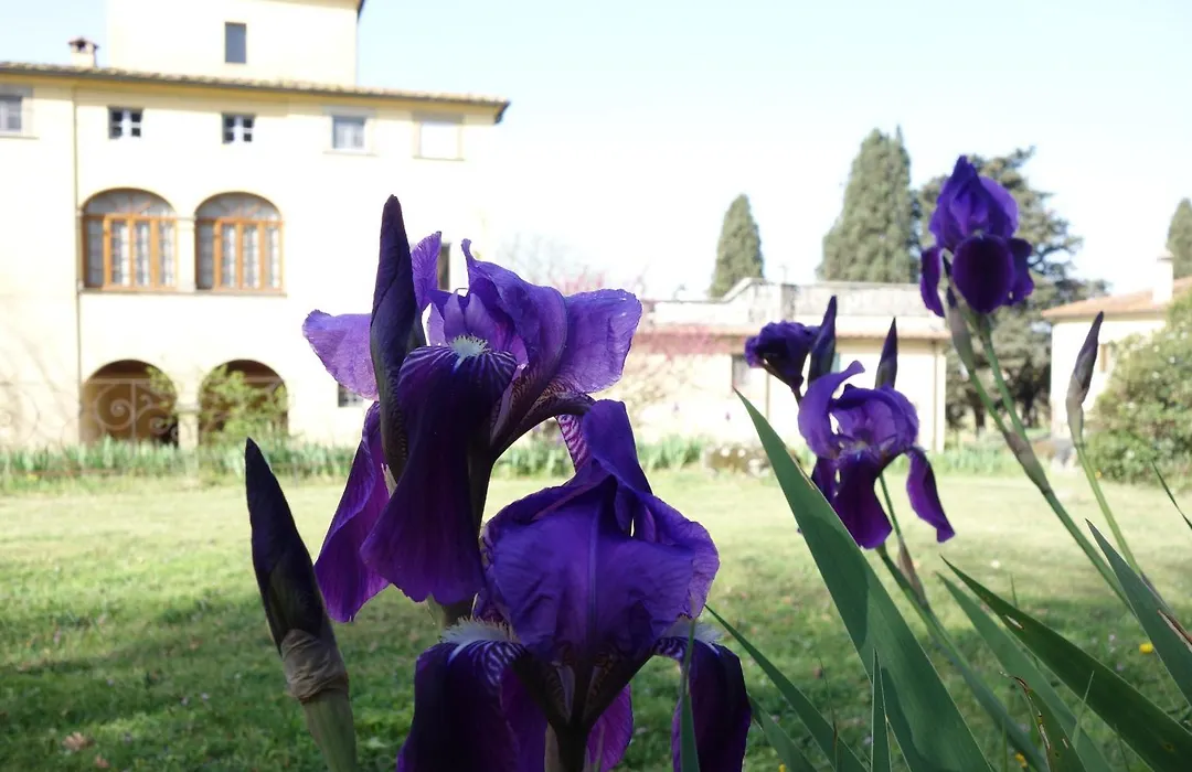 Bella di Ceciliano-1