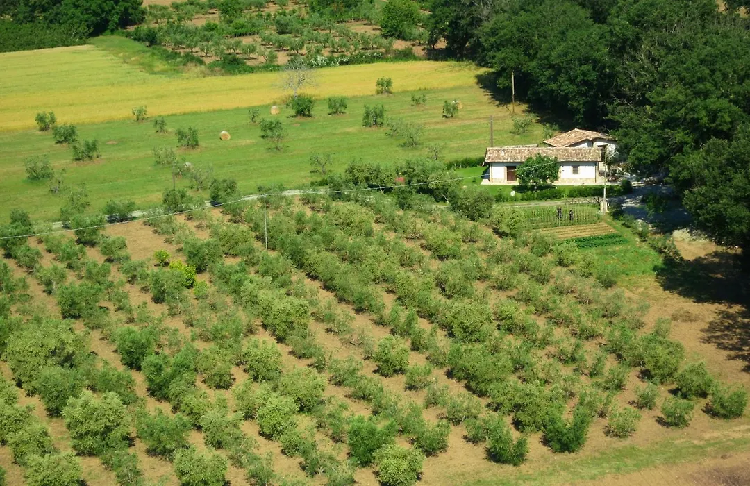 La Casa Nella Prateria-1
