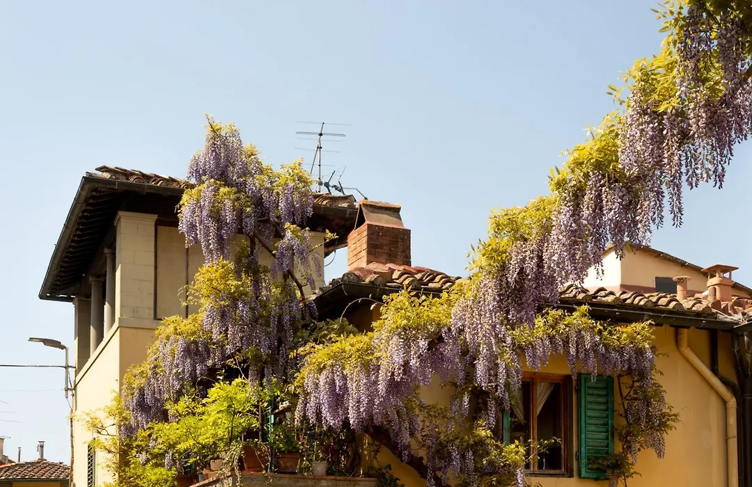 B&B Le Cannelle Fiesole-1