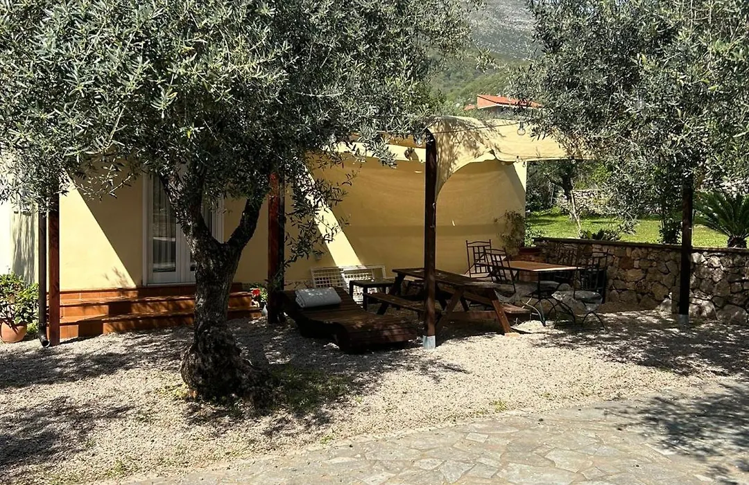 L'Ulivo-1