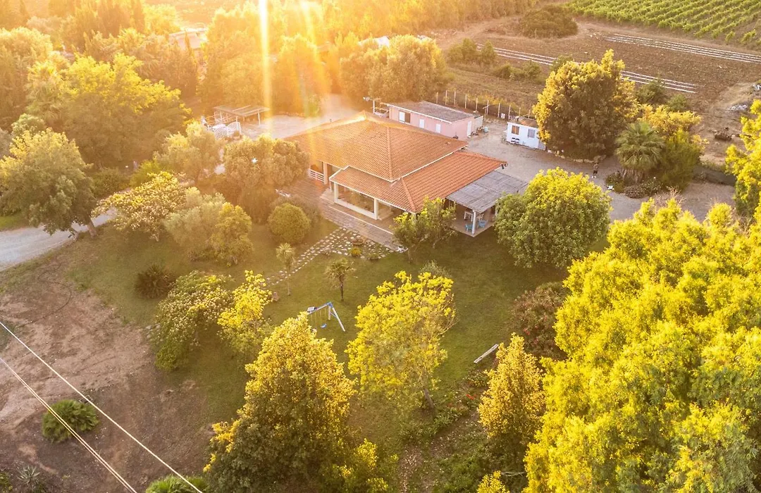 The Vineyards-1