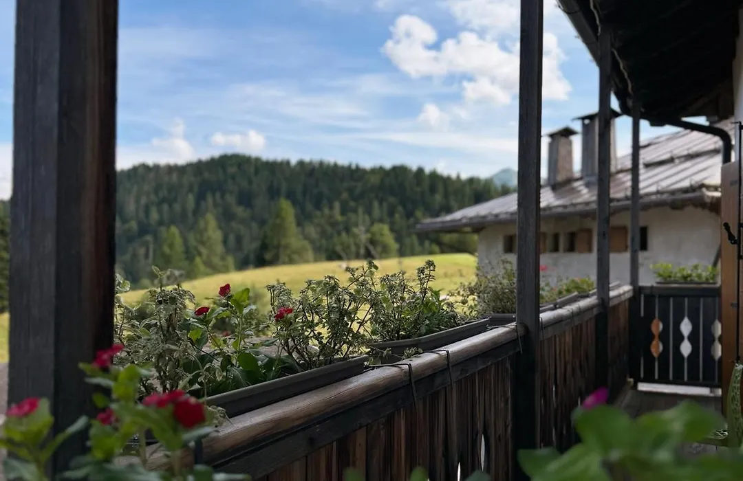 Neider Hotel - Alpine Retreat Sauris-1