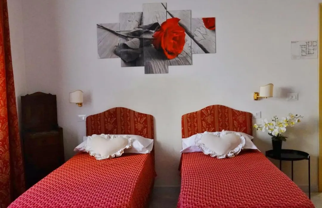 B&B Myosotis-1