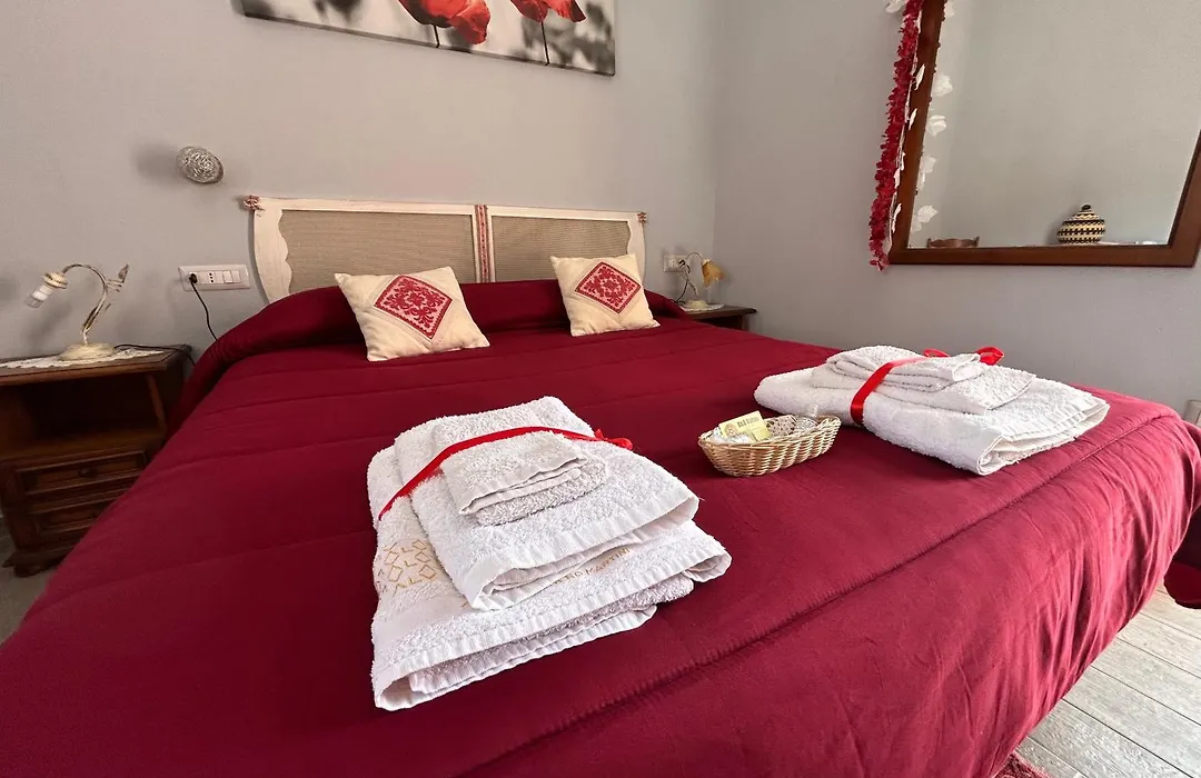 B&B Babay-1