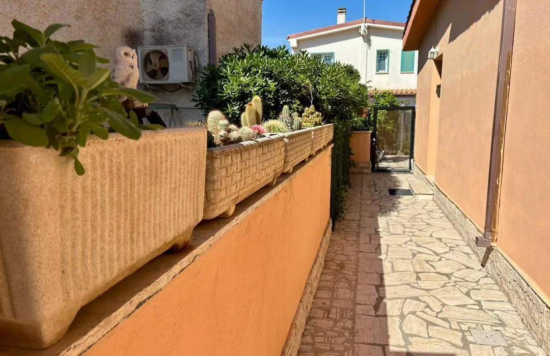B&B Buena Vista-1
