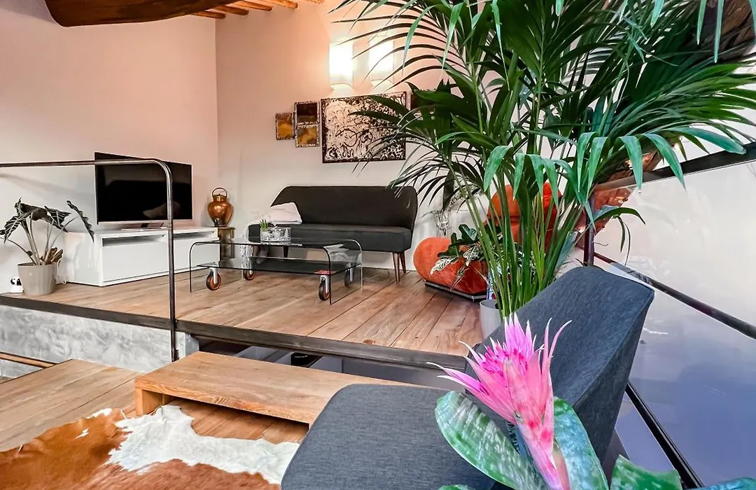 B&B Palazzo Bruchi-1