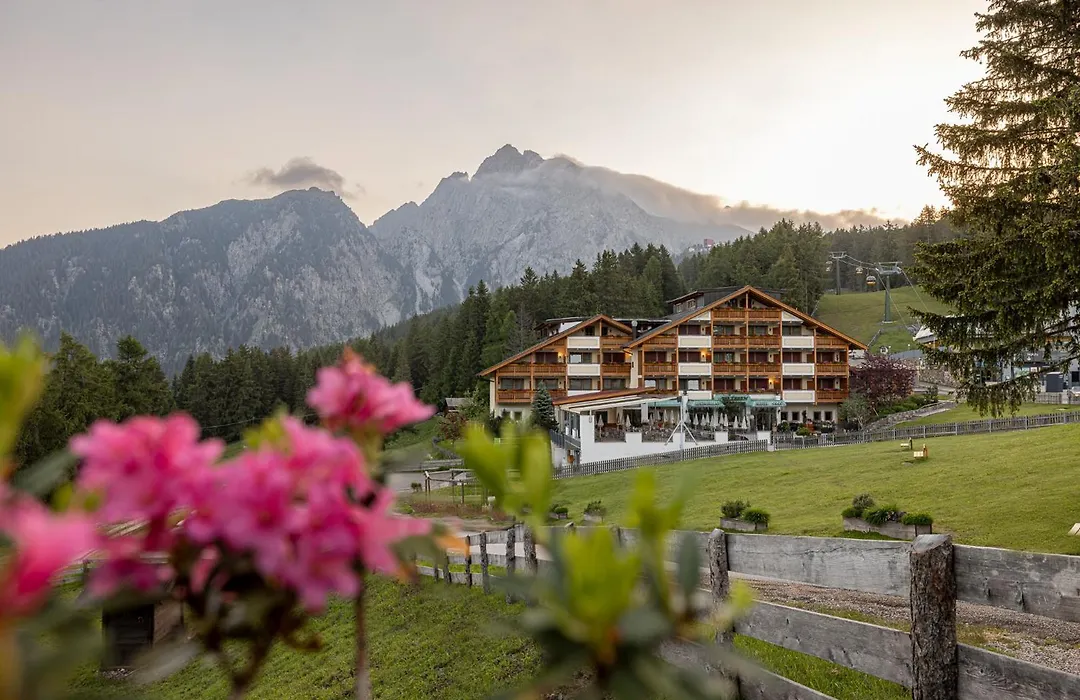 Wohlfuehlhotel Falzeben-1
