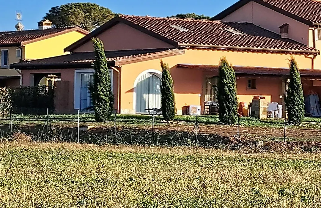 Fattoria Palazzeta-1