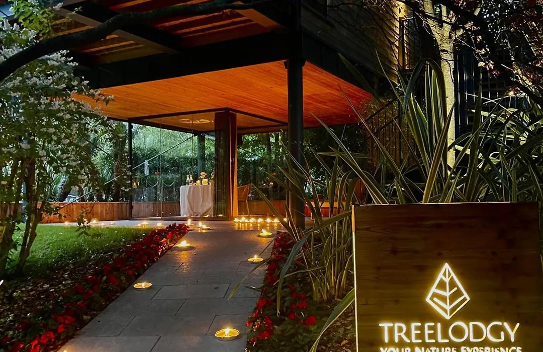 Treelodgy, The Tree House-1