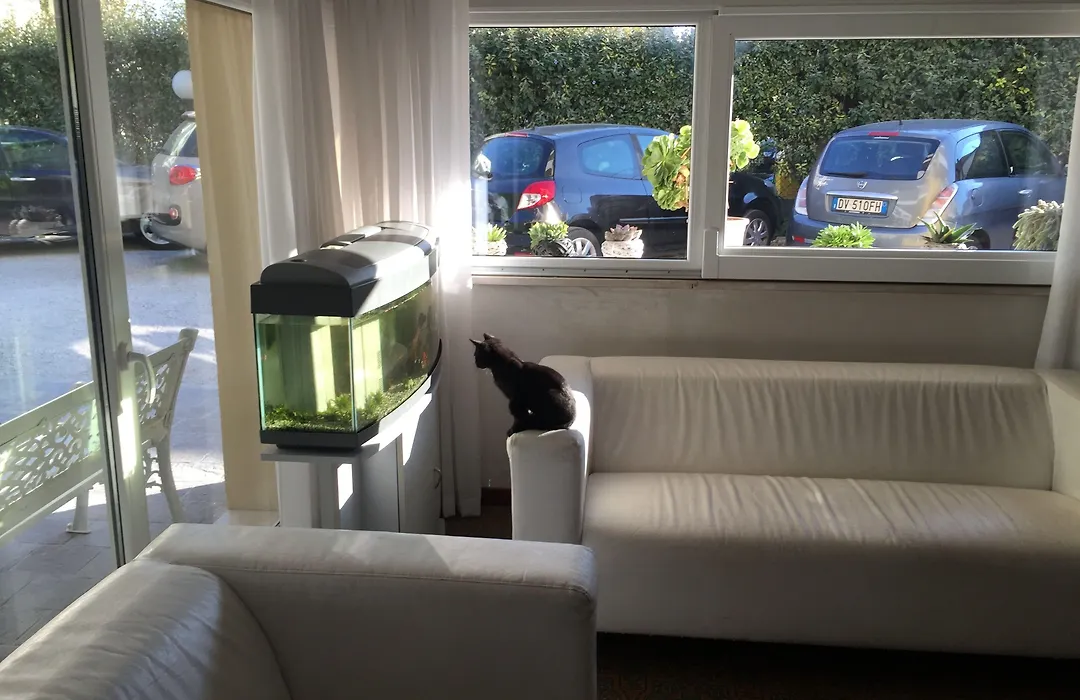 Hotel Viking-1