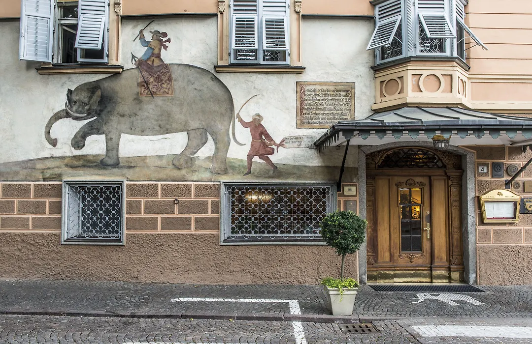 Hotel Elephant-1