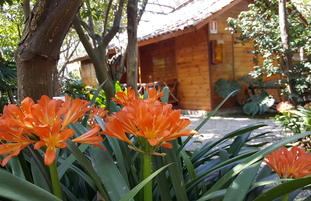Residence Villaggio Verde-1