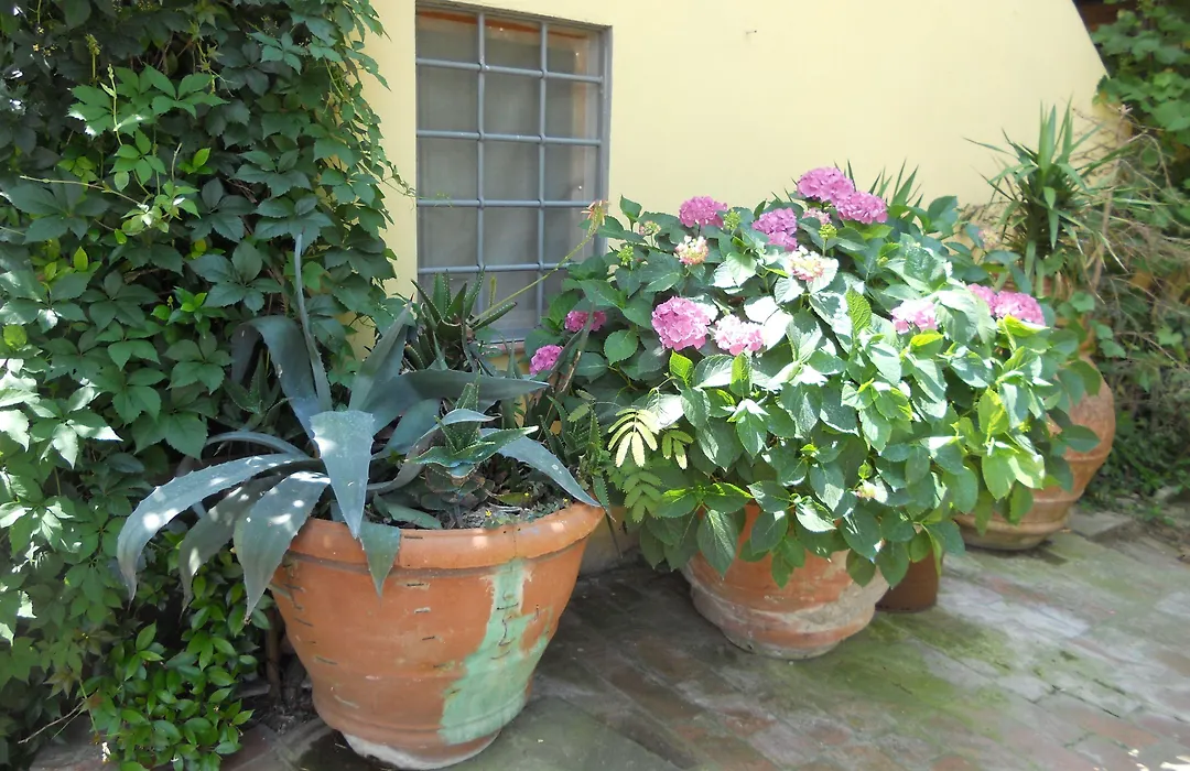 Agriturismo Le Macine-1