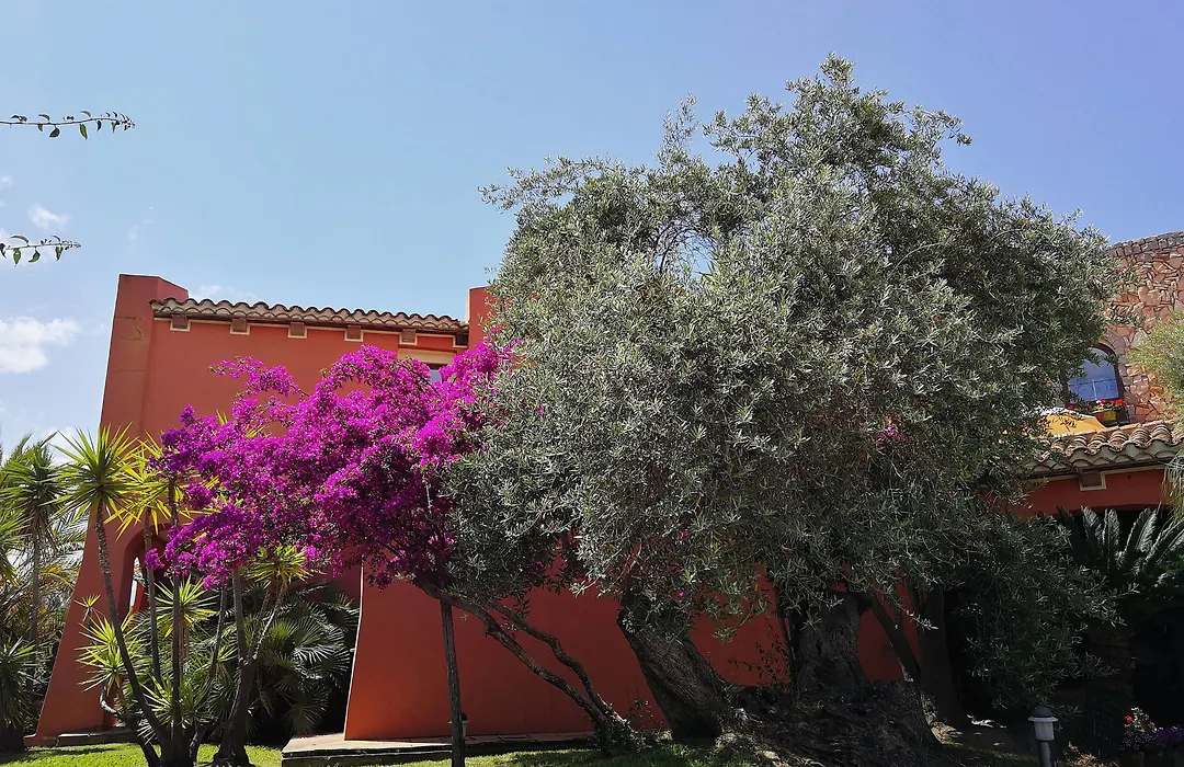 Hotel Il Vecchio Mulino-1
