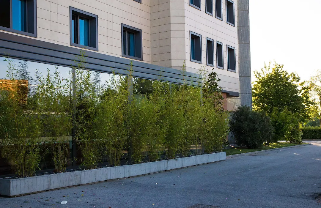 Point Hotel-1